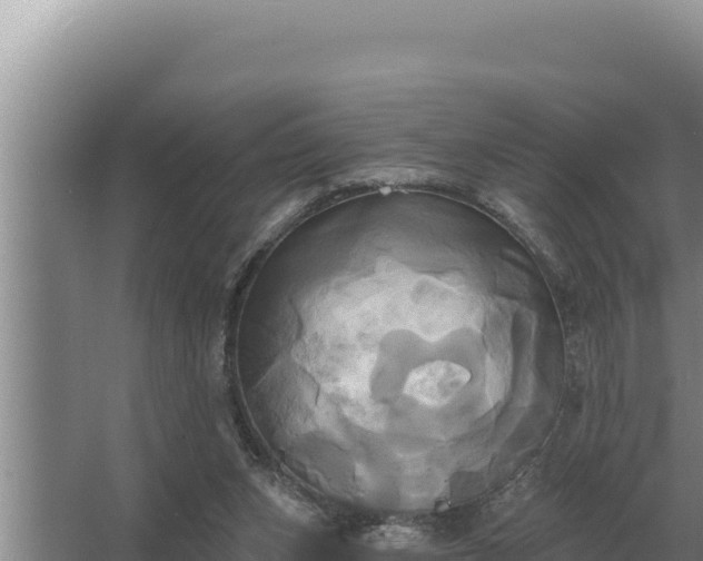 X0000067390159200604071803