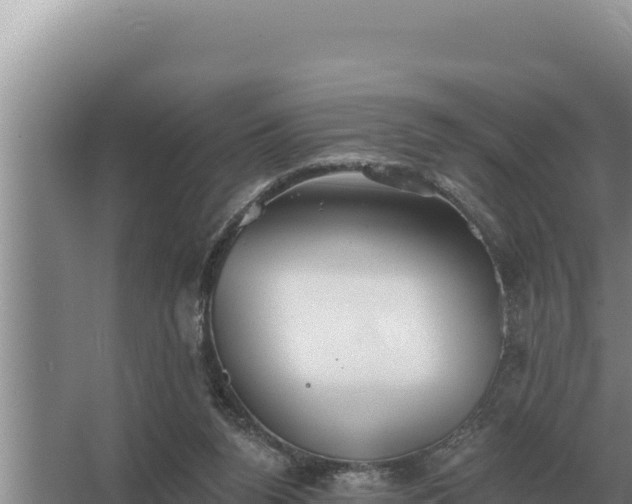 X0000067390160200604071803