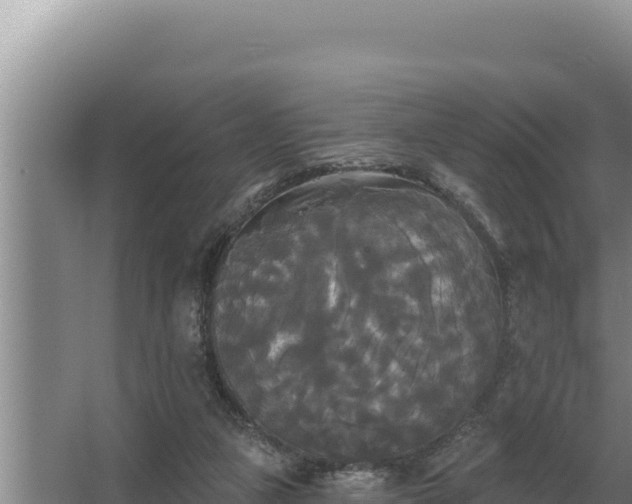 X0000067390161200604071803