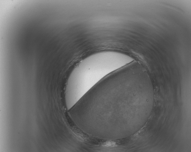 X0000067390162200604071803