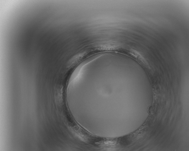 X0000067390163200604071803