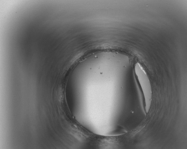 X0000067390164200604071803