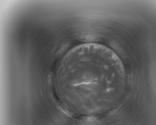 X0000067390165200604071803