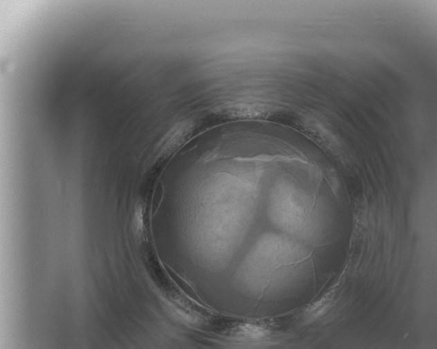 X0000067390166200604071803