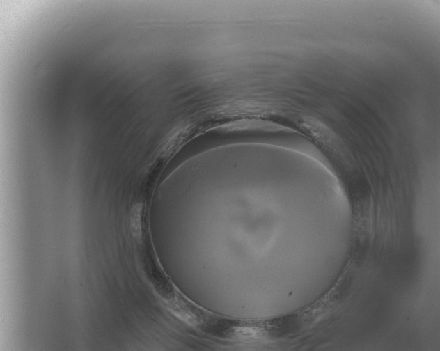 X0000067390167200604071803