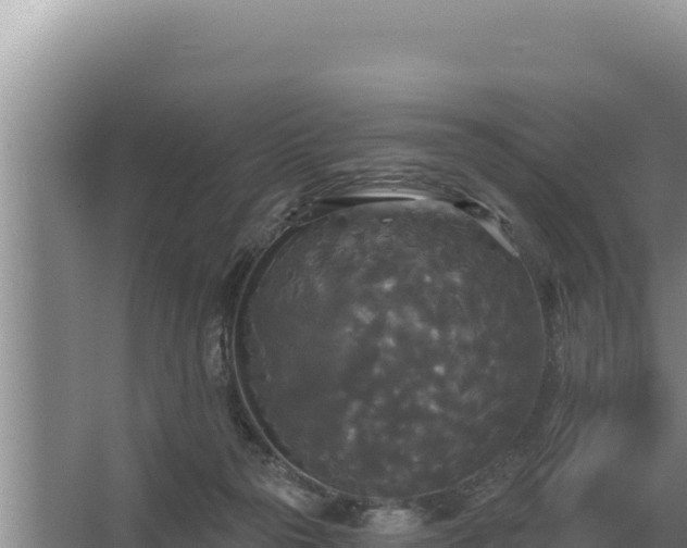 X0000067390169200604071803