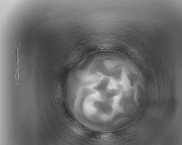 X0000067390173200604071803