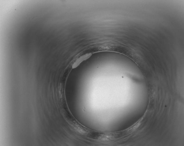 X0000067390174200604071803