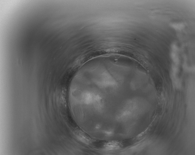 X0000067390175200604071803