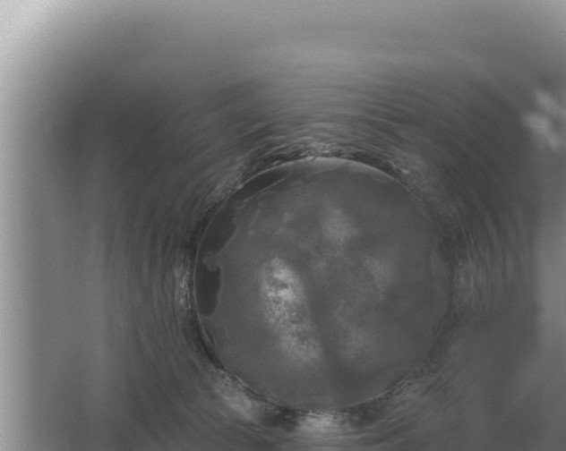 X0000067390177200604071803