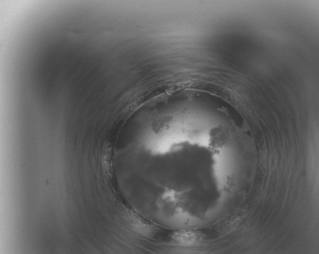 X0000067390181200604071803