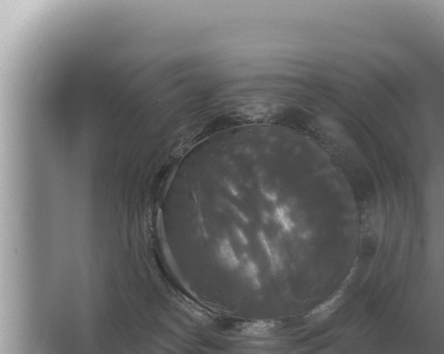 X0000067390182200604071803