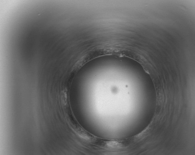 X0000067390183200604071803