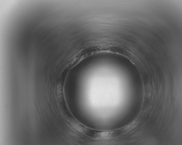 X0000067390184200604071803