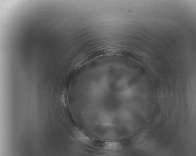 X0000067390185200604071803