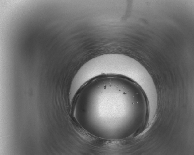 X0000067390186200604071803