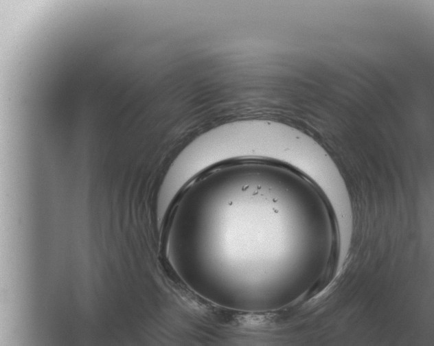 X0000067390187200604071803