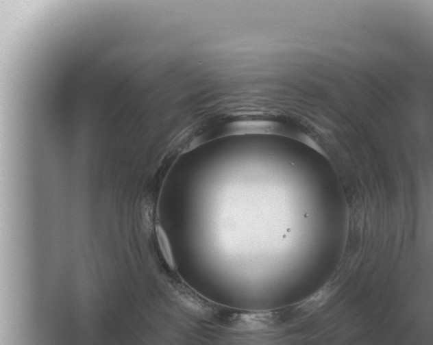 X0000067390188200604071803