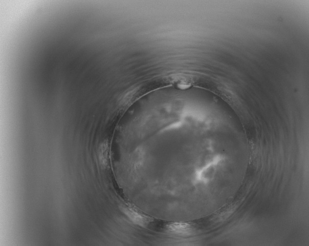 X0000067390189200604071803