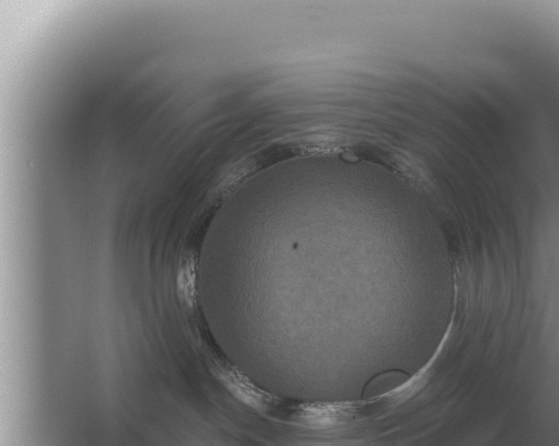 X0000067390190200604071803