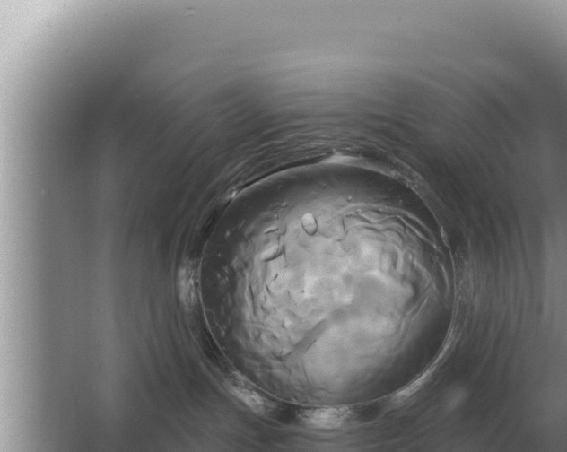 X0000067390191200604071803