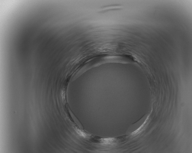 X0000067390192200604071803