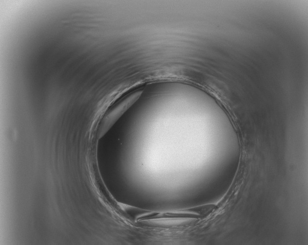 X0000067390193200604071802