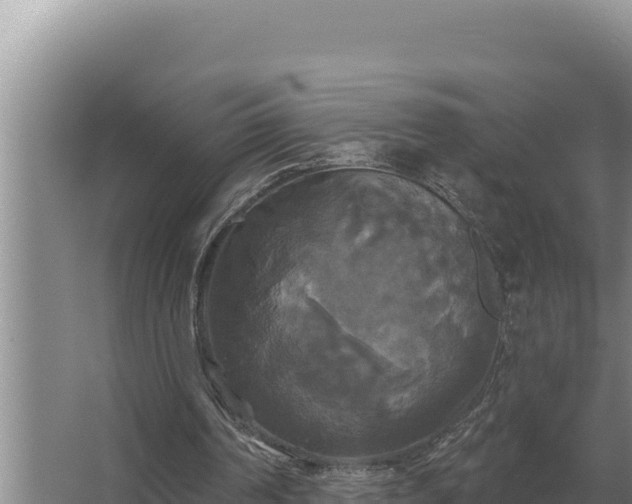 X0000067390194200604071802