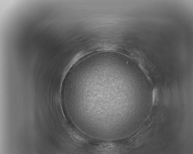 X0000067390195200604071802