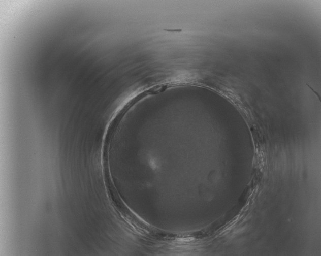 X0000067390196200604071802