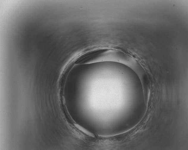 X0000067390197200604071802