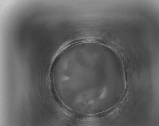 X0000067390198200604071802