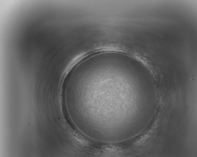 X0000067390199200604071802