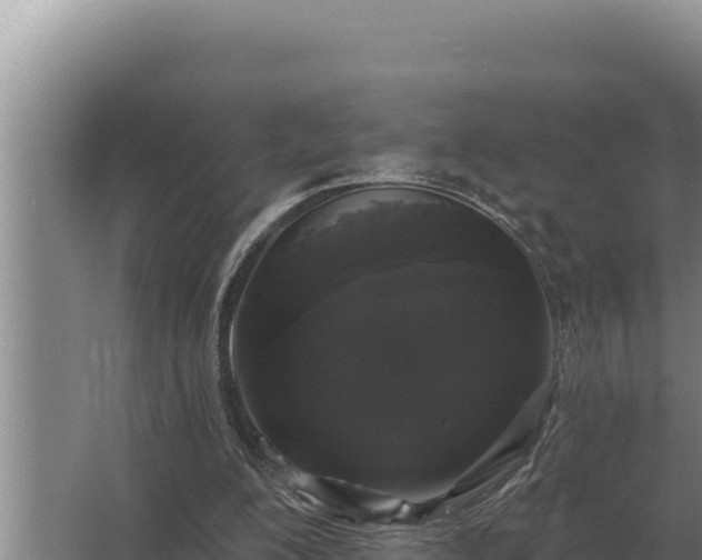 X0000067390200200604071802