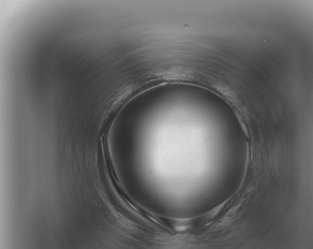 X0000067390201200604071802