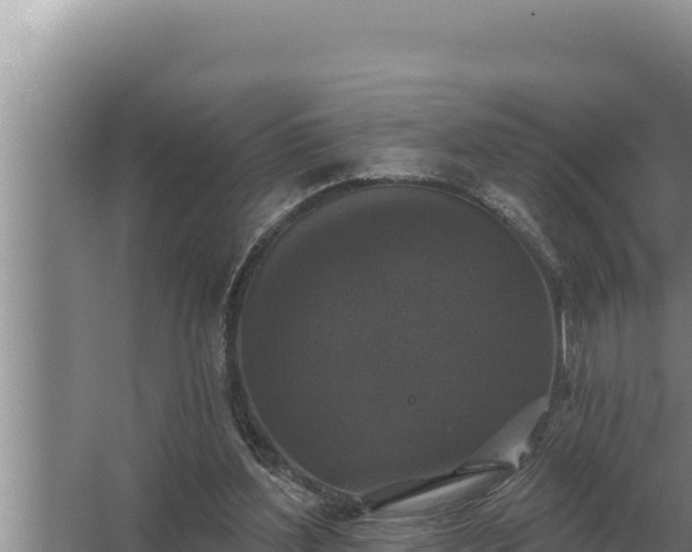 X0000067390204200604071802