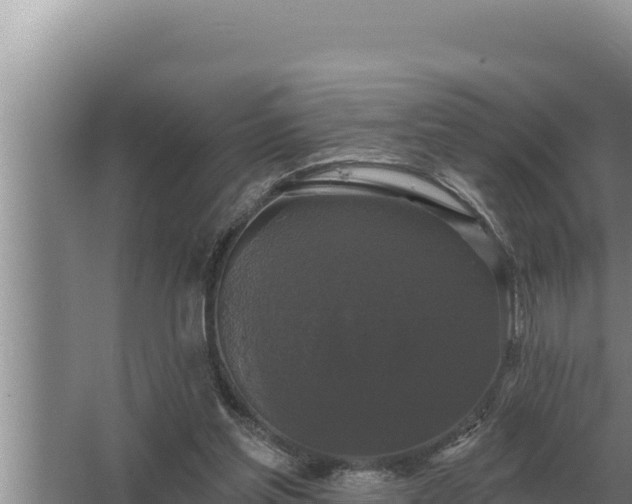 X0000067390205200604071802