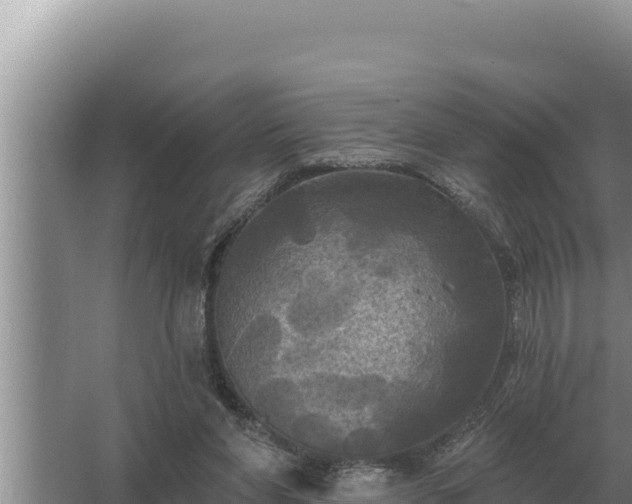 X0000067390206200604071802