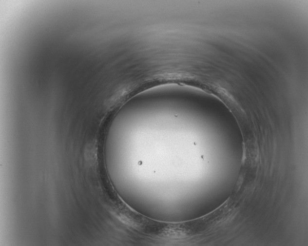 X0000067390207200604071802