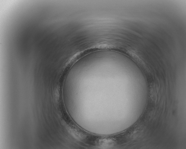 X0000067390208200604071802