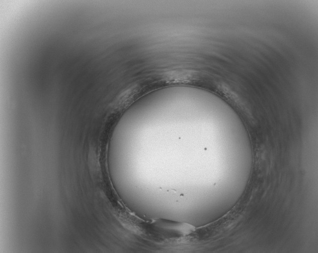 X0000067390209200604071802