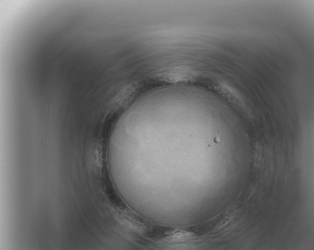 X0000067390210200604071802