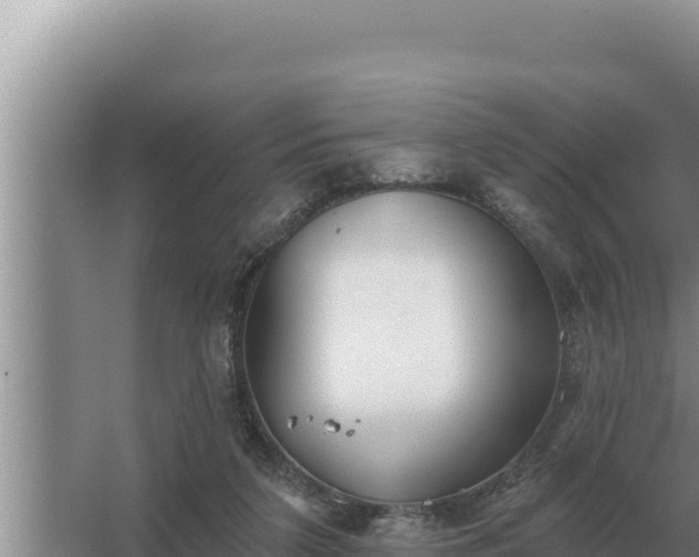 X0000067390211200604071802