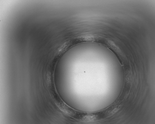 X0000067390213200604071802