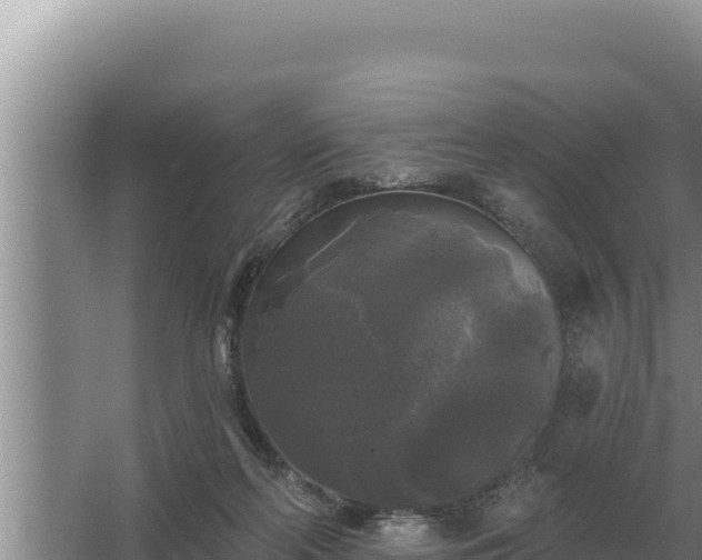 X0000067390214200604071802