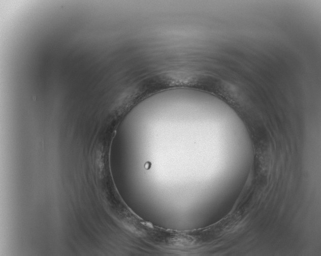 X0000067390215200604071802