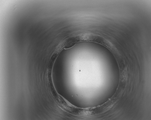 X0000067390217200604071802