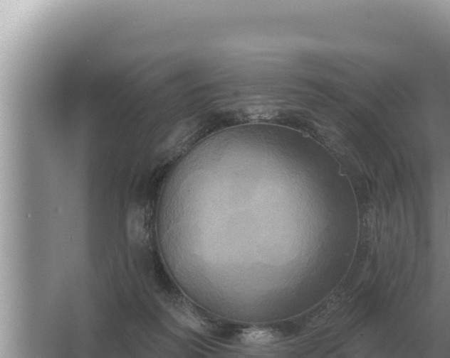 X0000067390218200604071802