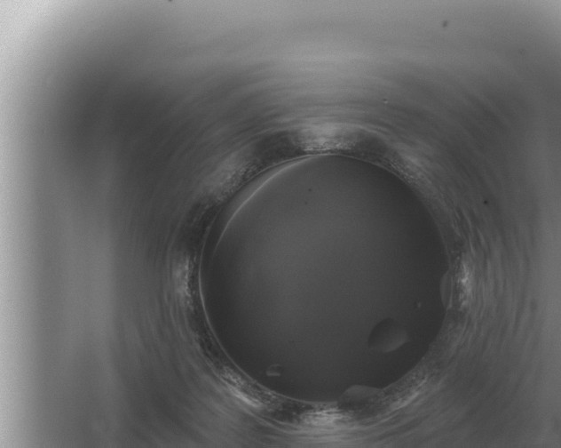 X0000067390219200604071802