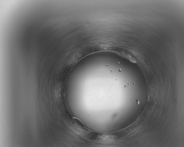 X0000067390221200604071802